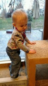 tmp_18145-103131486693033