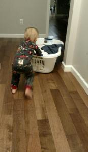 tmp_23831-114111486693033