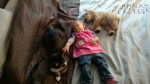 tmp_6220-128771486693033