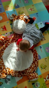 tmp_11793-131411486693033