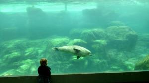 tmp_13628-13776-1599311704