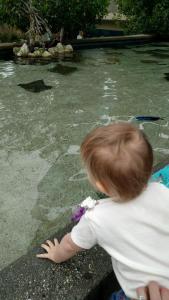 tmp_13628-138331584197190