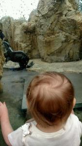 tmp_13628-138351509738158