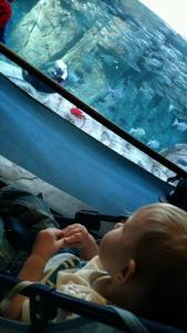 tmp_13628-13837-1579503442