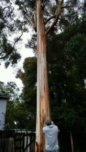 tmp_2322-142211649973369