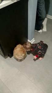 tmp_24927-14606-1579503442