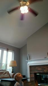 tmp_26263-14554-142725179