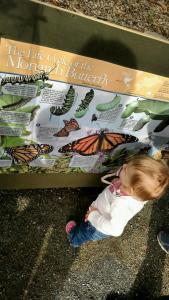 tmp_2734-14124-1978728409