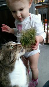 tmp_27971-13442-282300370