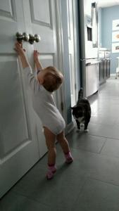 tmp_27971-134441486693033