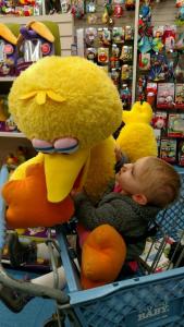 tmp_9008-135331486693033