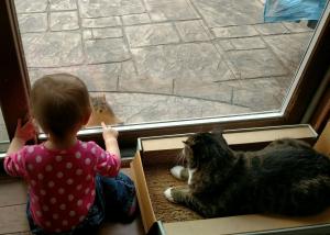 tmp_13799-15816-1579503442