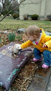 tmp_21201-16435-902413180