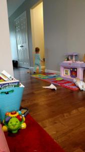 tmp_4830-168801396836817