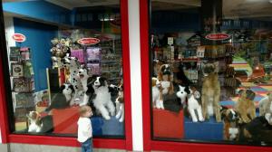 tmp_8140-170531396836817