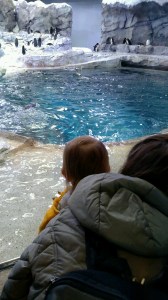 tmp_15467-17756-667763091