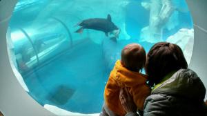 tmp_15467-17777-1564343575