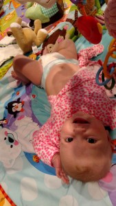 img_20170209_175516692