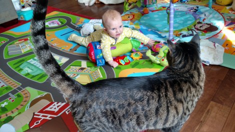 img_20170210_150944714_hdr