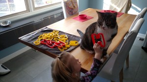 img_20170213_091515409