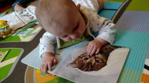 tmp_1171-244171554690608