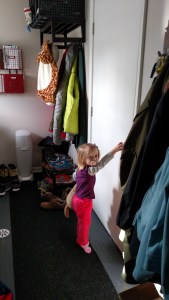 tmp_9731-img_20170216_151643024-631188071