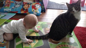 IMG_20170309_075249440