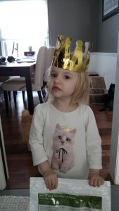 tmp_18482-IMG_20170310_121504931616446887