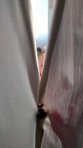 tmp_25022-IMG_20170322_164651361883248160