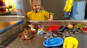 tmp_4001-IMG_20170326_125526738883248160