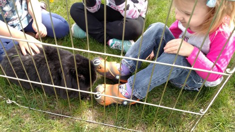 IMG_20170428_113950861