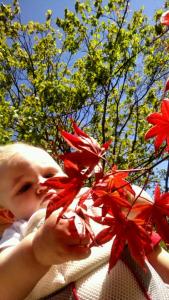 tmp_10650-26745-1280760190