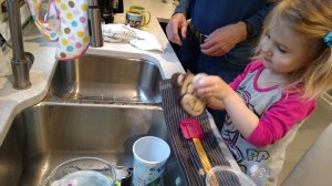 tmp_13691-IMG_20170406_100740357883248160