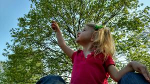 tmp_3246-IMG95201704269518223961595HDR-1280760190