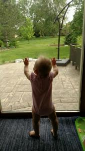 IMG952017051795165152013