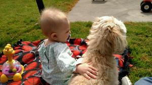 IMG952017052095111702559