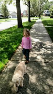 IMG952017052095125930000