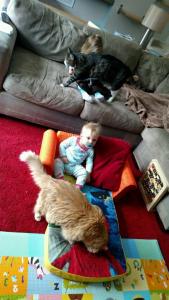 IMG952017072695084329308_2