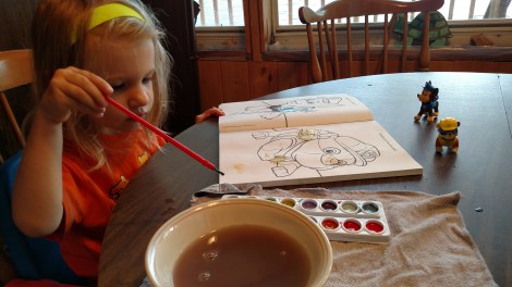 IMG_20170802_164441685