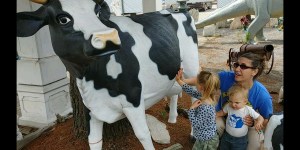 Screenshot_2017-08-12-20-49-26