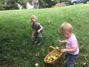 vmatxsls06_2194245081819-1-IMG956523