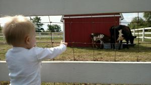 IMG952017090395113137499