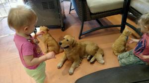 IMG952017100395121208759