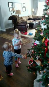 IMG952017112795124800337