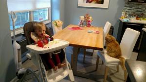 IMG952017120695075723293