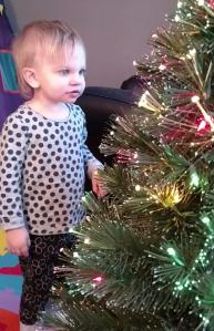 IMG952017121295215752