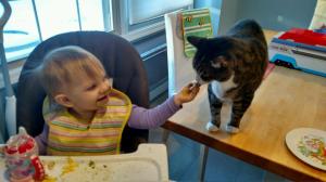 IMG95201712269508475441995HDR