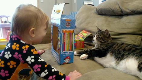 IMG952017122895083401632