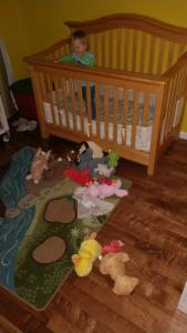 IMG952018010795155004463