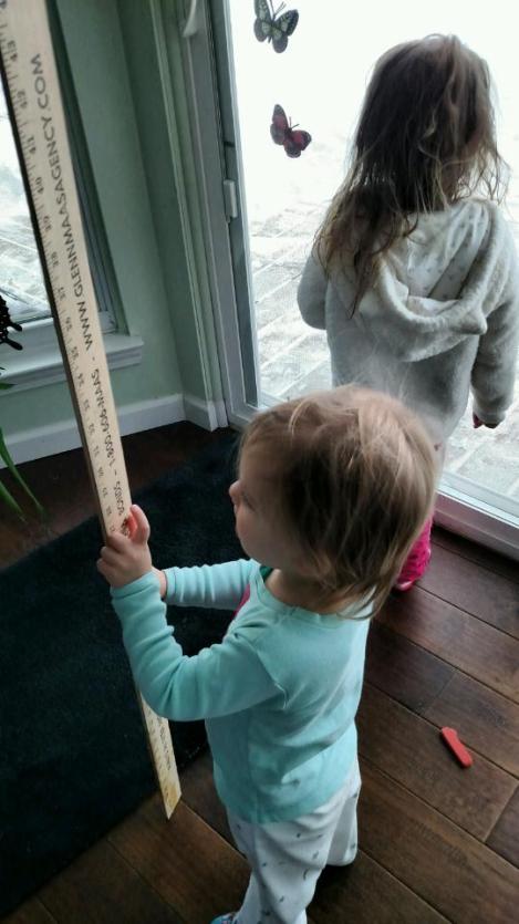 IMG952018021095143228142